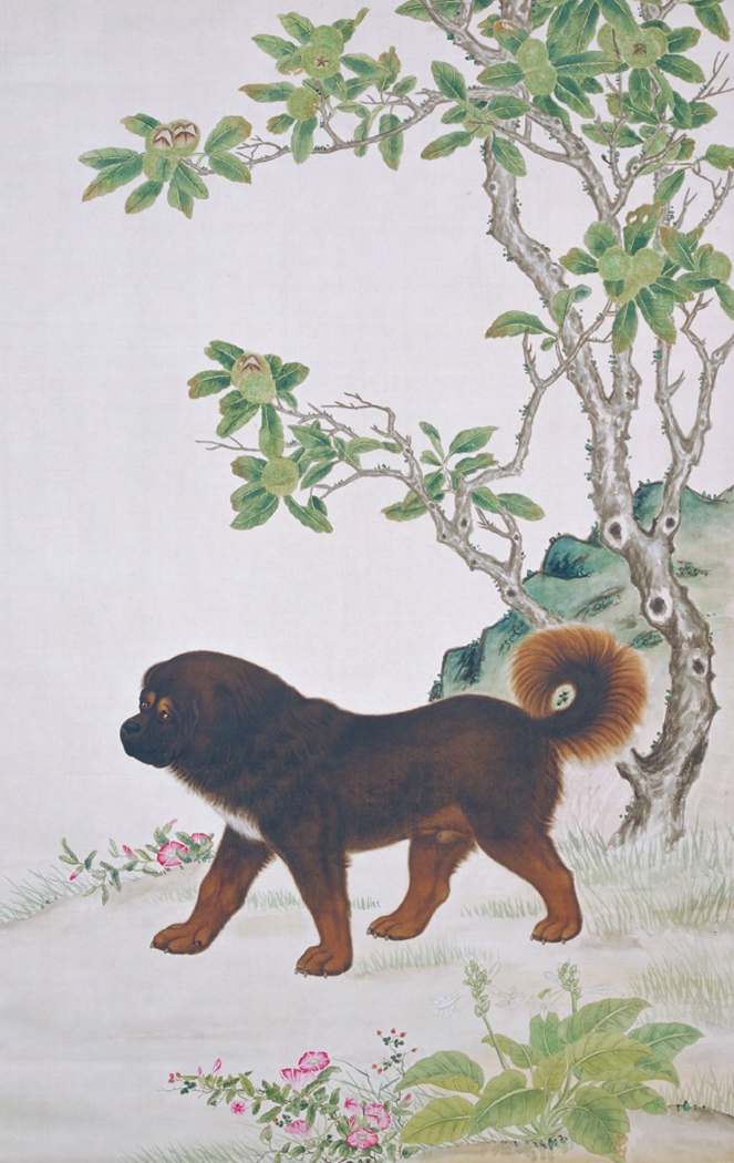 图片[1]-Chestnut Dog Chart Axis-China Archive